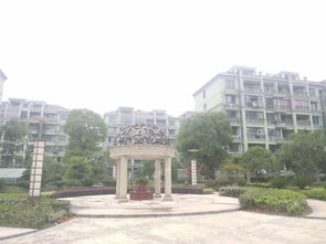 银川最大的城中村在哪里