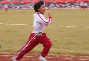 致200米运动员的加油稿100字，致200米运动员词简短