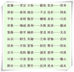 出现近义词是什么