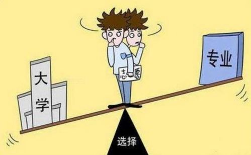什么是专业服从?