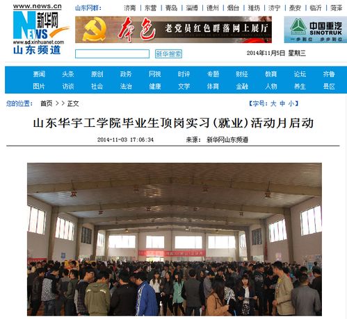 山东华宇工学院，华宇工学院专科分数线