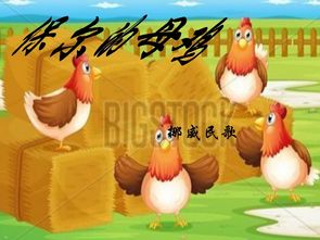 保尔的母鸡作品介绍