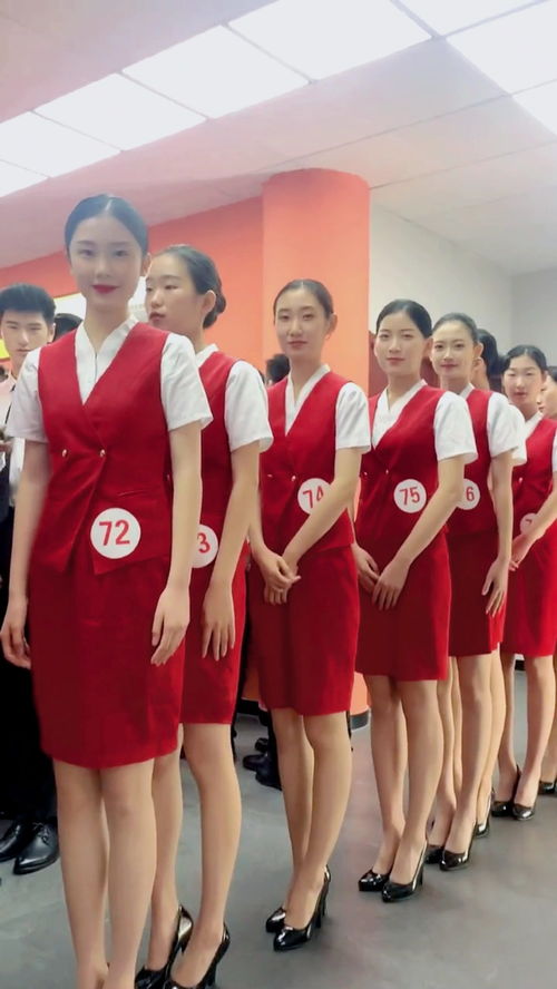 乘务员招聘条件有哪些?