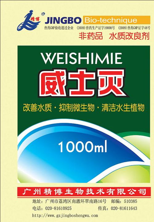 洛阳精博教育好不好?