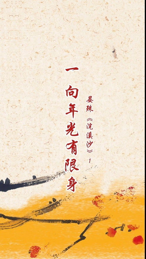 韶华的意思，莫负韶光的意思