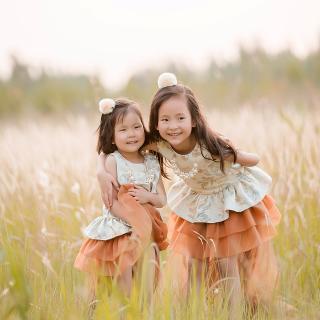 折杨柳歌辞的全文翻译