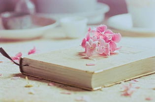 不老泉读后感500字六年级，不老泉读后感300字