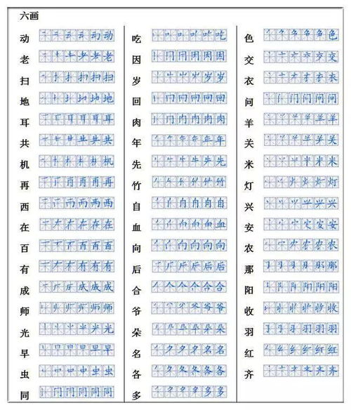 引笔顺笔画，张笔顺田字格写法