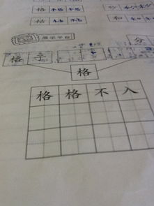 码组词组，鸪组词是什么