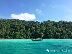 泰国潜水哪里好