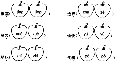 削苹果的削的读音是xiao还是xue???
