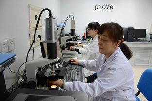 prove的用法有被动吗，improve的用法