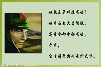 钢铁是怎样炼成的读后感(简短10篇)