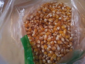 用锅爆玉米花的做法窍门