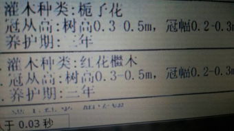 花字的拼音怎么读，花字的拼音和组词