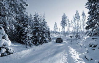 冬天有什么特点