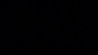 2021年12月大学英语四级活跃词汇