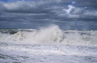 浪花像什么填空填什么?