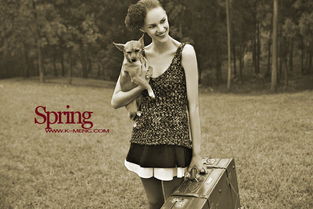 怀春是什么意思，怀春纪事情银色子弹笔车