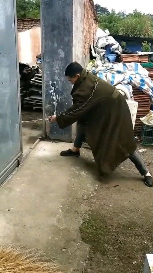 “白板”形容人什么意思?