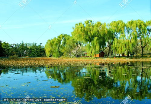 “杨柳岸,晓风残月”出自何处?