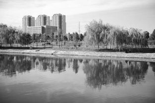 河南新蔡天气几点下雨