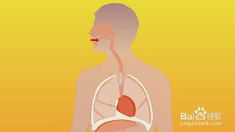 上气大从众车330价格，上气大众朗逸2023款车型报价及图片视频在线播放