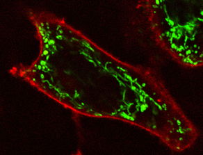 depths，depth的中文