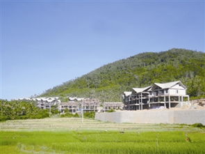 天涯镇介绍，天涯镇有什么好玩的