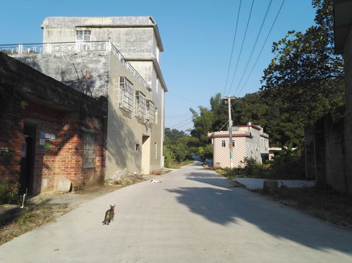 乡村道路宽度标准是多少