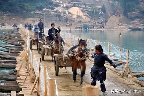 倒运是什么意思，倒运材料