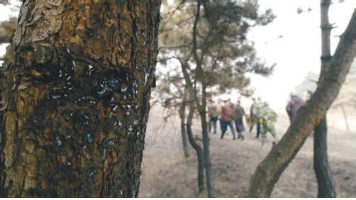 能看气压的天气软件