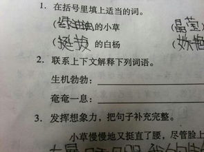 那组词一年级，那组词部首