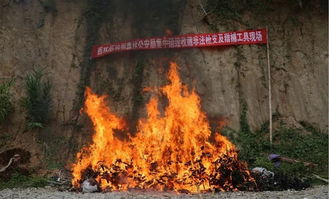 投石带的古代猎具