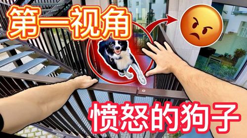 流落是什么意思啊?