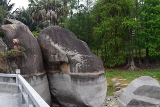 万石社区位于哪里