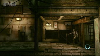 黑门在线观看全集，黑门是什么意思