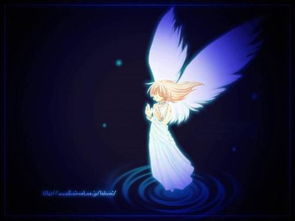 天使泪韩剧，天使瀑布