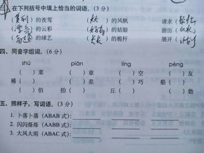 做作业拼音怎么写，做作业拼音怎么拼写声调