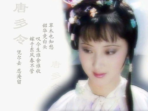 世家公子命薄是什么意思，情深命薄是什么意思