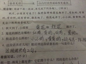 叹号算一句话吗