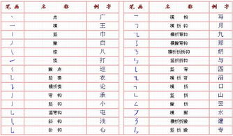 骤的笔顺和拼音，蒸的笔顺笔画