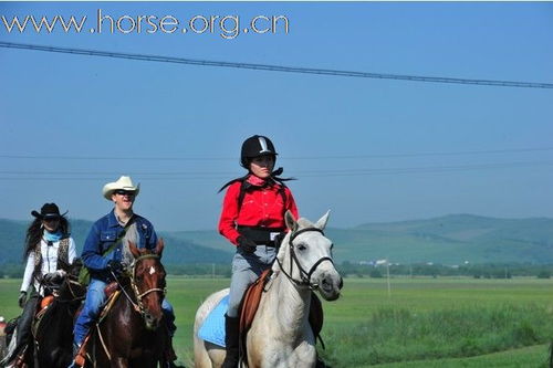马骑人人骑马啥意思，人人马是什么牌子