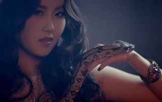 美女蛇的意思是什么?