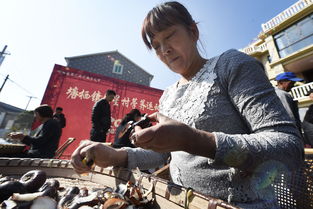 别开生面的成语意思