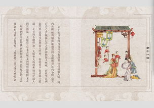 红楼梦的好句摘抄