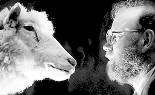 克隆羊多莉是由去除细胞核的a羊的卵细胞