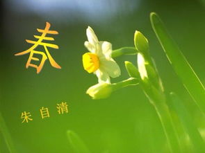 表达赞美春天的句子