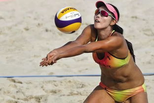 向风而行王凡结局