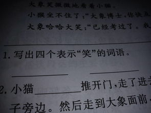 笑的反义词是什么字，笑的反义词是啥